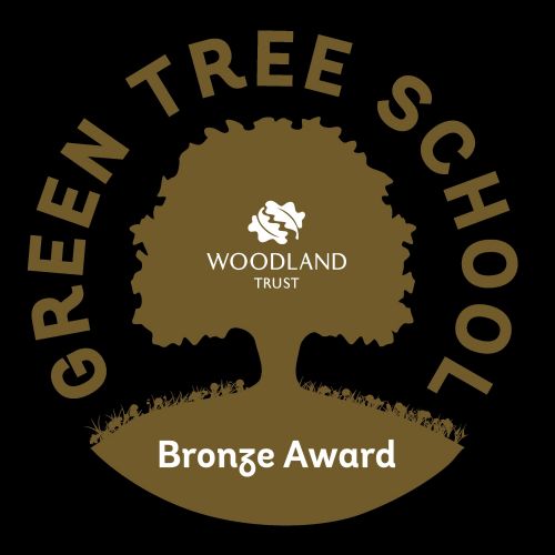 Bronze Award