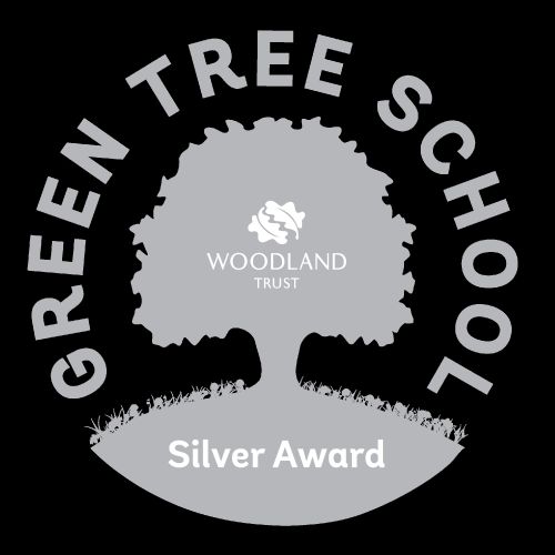 Silver Award